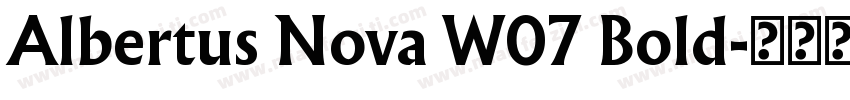 Albertus Nova W07 Bold字体转换